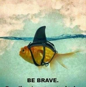 Meet your Posher, Krystin